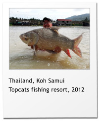 Thailand, Koh Samui Topcats fishing resort, 2012