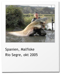 Spanien, Malfiske Rio Segre, okt 2005
