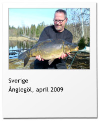 Sverige Ånglegöl, april 2009